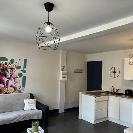 Spacieux, Climatise, Quartier Calme, Proche Chateau, Le Cocon De Joy Carcassonne Exteriör bild